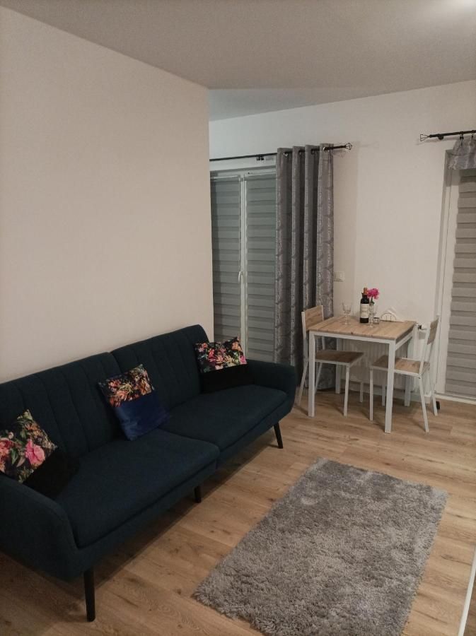 Apartament Zielone Tarasy رشيشوف المظهر الخارجي الصورة